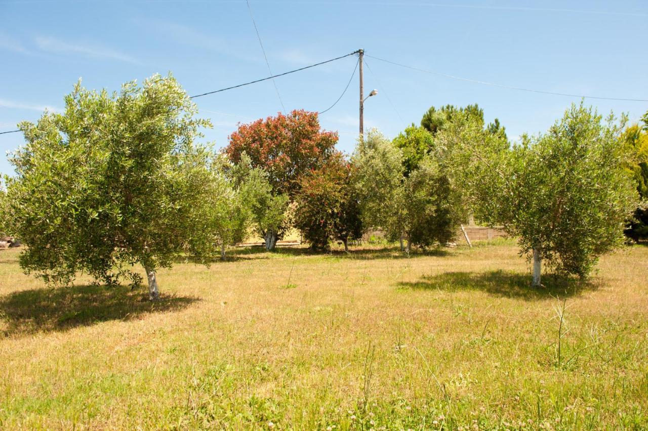 Olives Estate Apartments Grande Preveza Bagian luar foto