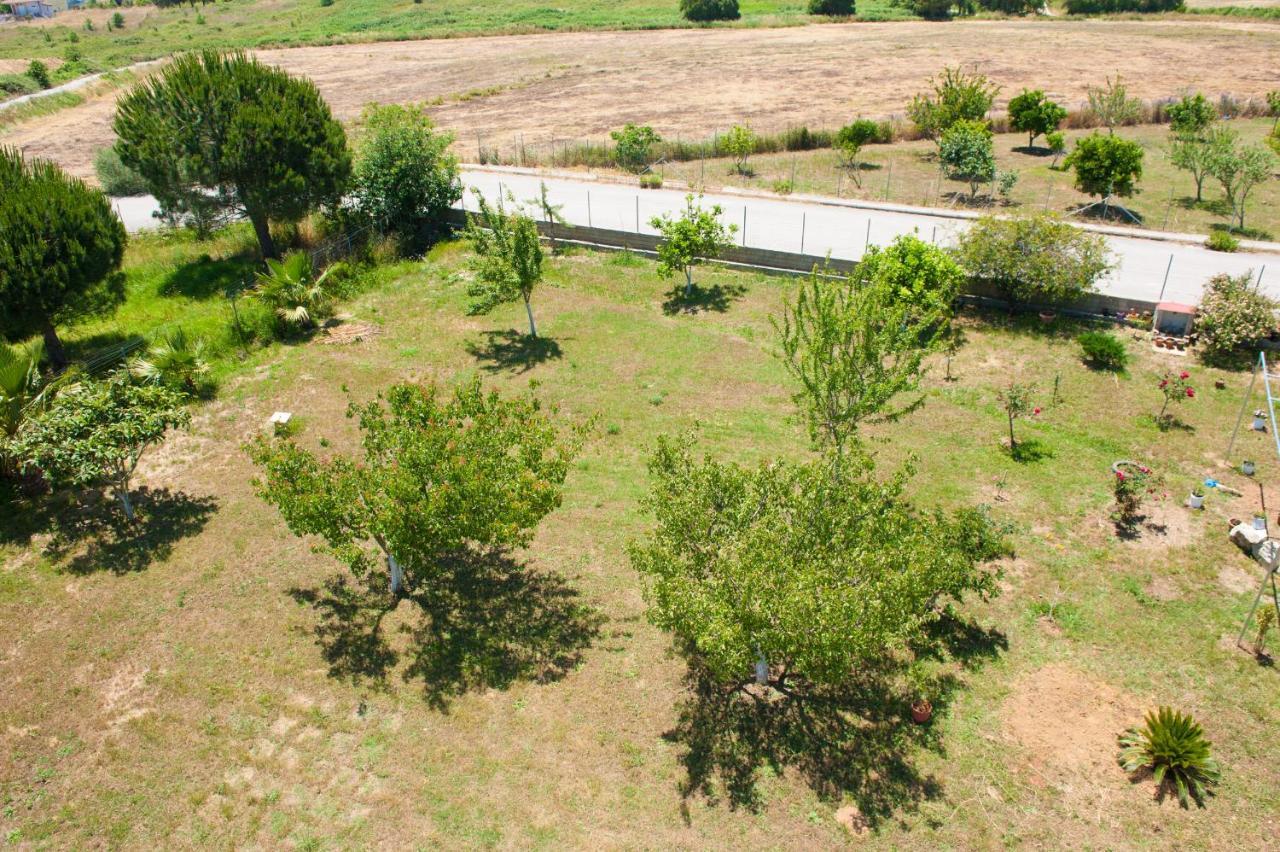 Olives Estate Apartments Grande Preveza Bagian luar foto