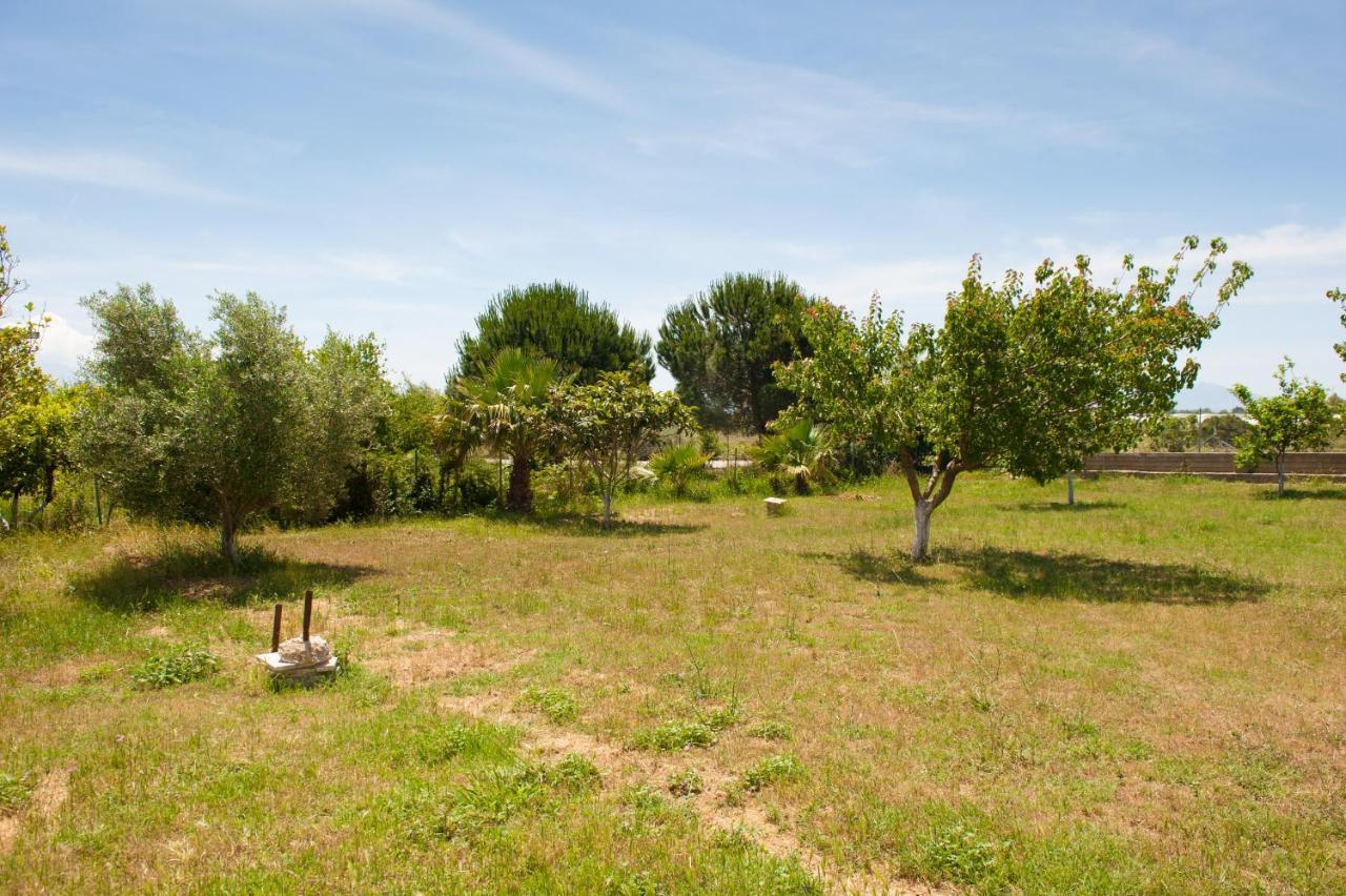 Olives Estate Apartments Grande Preveza Bagian luar foto